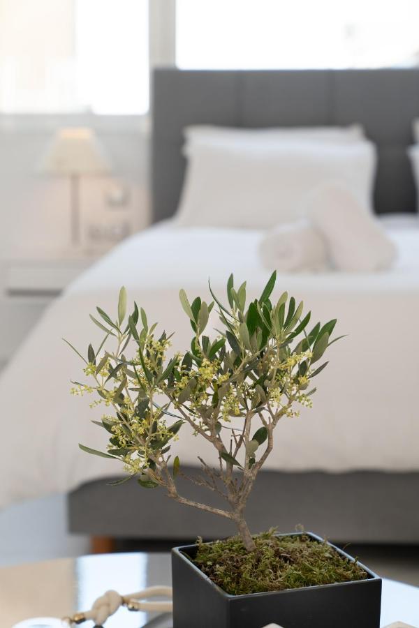 Olvar Suites เอเธนส์ ภายนอก รูปภาพ