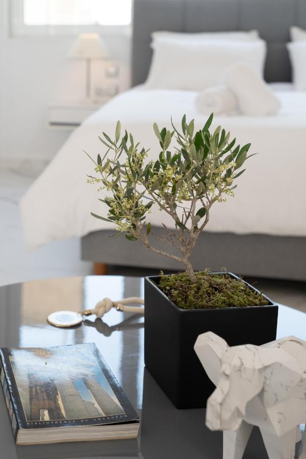 Olvar Suites เอเธนส์ ภายนอก รูปภาพ
